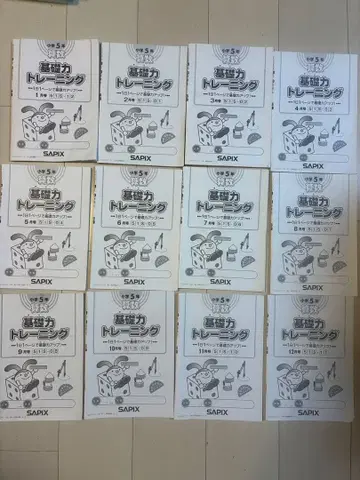 사피 기초력 트레이닝 5학년 전 12권