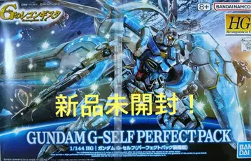 즉시 결제 OK! 미개봉 새상품 HG G셀프 퍼펙트 팩 G의 레콘기스타