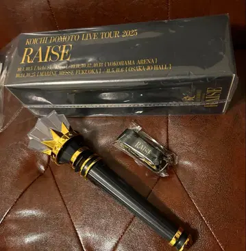 KOICHI DOMOTO LIVE TOUR 2025 RAISE 응원봉