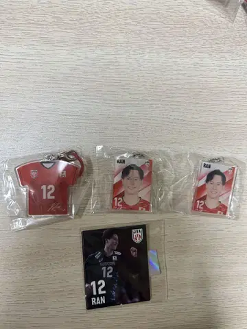 남자 배구 일본 대표 캡슐 토이 타카하시 란 선수