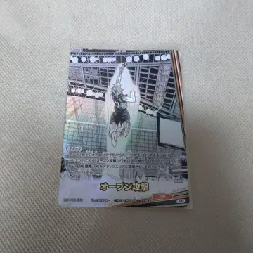 하이큐!! 바보카!! BREAK 히나타 쇼요 9장 세트