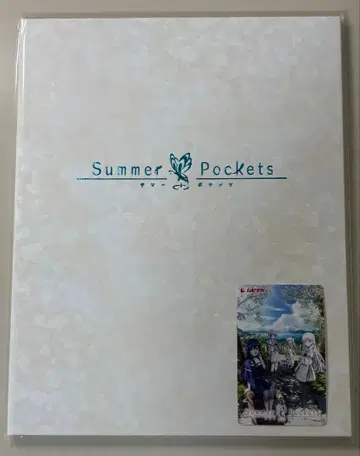 Summer pockets 캐릭터 파인 포리오 소라카도 아오