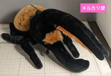 두근두근 도감 헤라클레스 장수풍뎅이 봉제 인형