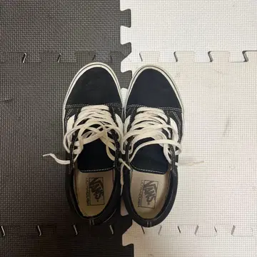 VANS 올드스쿨