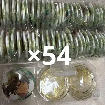 타카미네 미도리 5주년 캔뱃지 54개