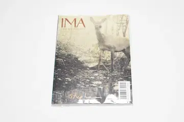 IMA 2019 Summer Vol.28 특집: 스티븐 길의 모든 것