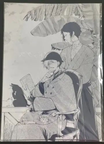 문호 스트레이독스 나츠메 아쿠타가와