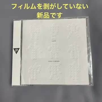 P-MODEL unZIP 히라사와 스스무