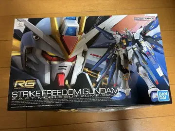 RG 스트라이크 프리덤 건담