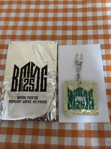 BMSG FES'25 랜덤 웨이브 키링 런