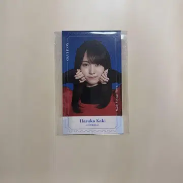 노기자카46 한여름 전국 투어 2025 노기모바 B상 카키 하루카