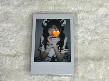 iLiFE! 코구마 마무 런치 폴라로이드