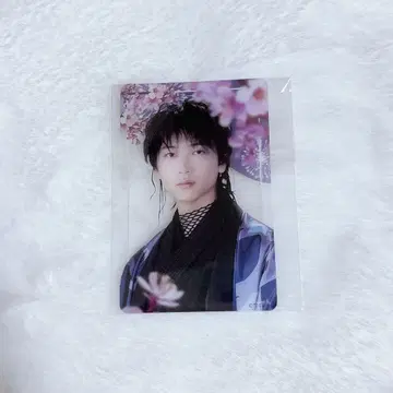 [하자 있음] 너와 함께 가서 피어나라 사이토 하지메 쇼지 코헤이