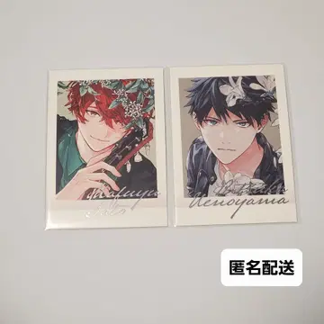 진겨울 리카 컬러 기븐전 파샤코레 Premium