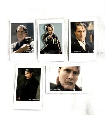 매즈 미켈슨 그린델발트 폴라로이드 팬 타비 카드 트레이딩 카드