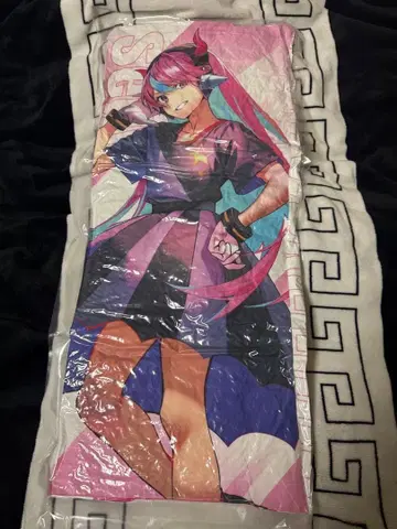 GiGO 한정판 Selly 쿠션+덤 포함 Crazy Raccoon