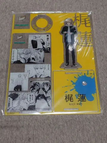 [ 12/31 한정 가격 인하 ] WIND BREAKER 윈브레 카지 렌