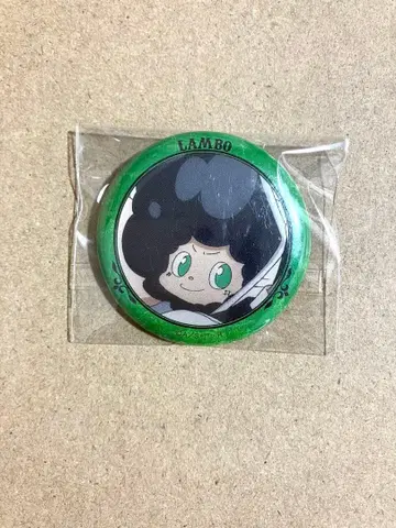 가정교사 히트맨 REBORN! 람보 캔뱃지