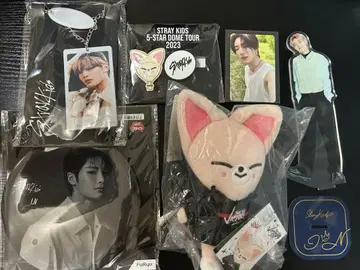 stray kids 아이엔 굿즈 묶음 판매