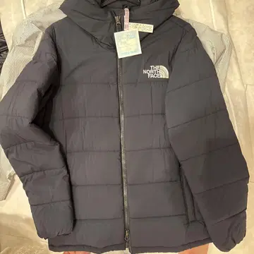 THE NORTH FACE 다운 자켓 L 그레이