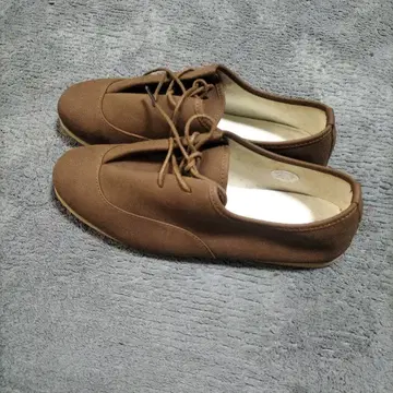 나노 유니버스 브라운 로퍼