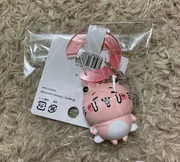 치이카와 파크 피규어 키링 키메라