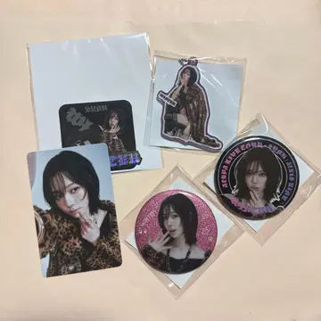 aespa 윈터 랜덤 토이 랜덤 토이 랜덤 트레이딩 카드 배지