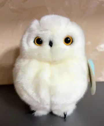 요시토쿠 봉제 인형 오르골 포함 YOSHITOKU 화이트 올빼미