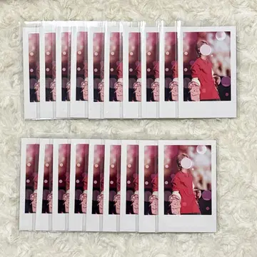 이레이스 실사 랜덤 폴라로이드풍 트레이딩 카드 나이코군 19장