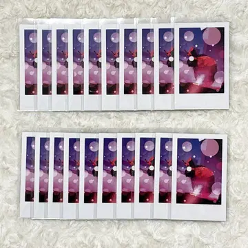 이레이스 실사 랜덤 폴라로이드풍 트레이딩 카드 리우군 20장