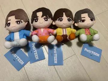 [ 24시간 이내 발송 가능 ] SEVENTEEN petiteen