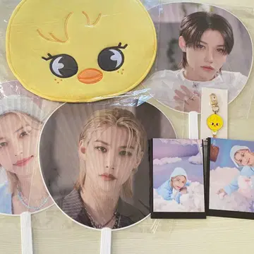 Stray Kids 스키즈 필릭스 묶음 판매