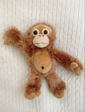 발리섬 한정판 BALI ZOO 아기 원숭이 봉제 인형 몽키 기념품 귀여운