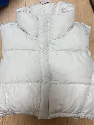 다운 베스트 INGNI