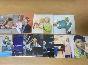 [컴플리트] 미세스 Harmony 포토 카드 후지사와 료카 15장 세트