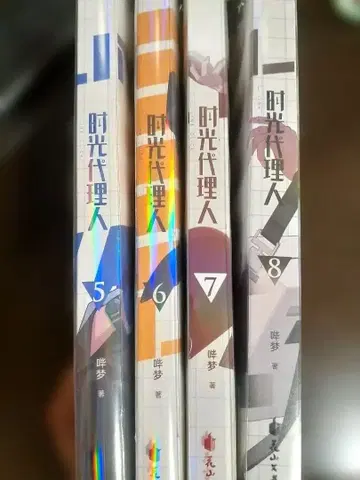 시광 대리인