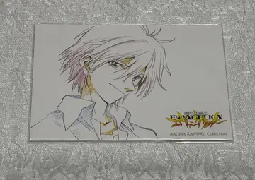 신세기 에반게리온 나기사 카오루 엽서 세트