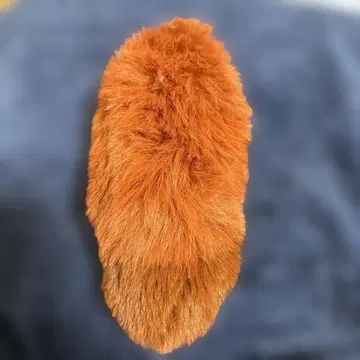 주토피아 닉 꼬리 꼬리