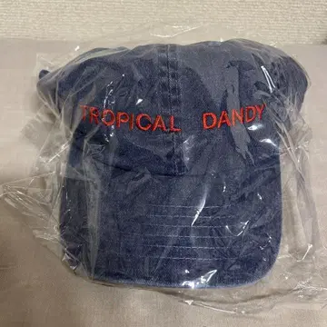 호소노 하루오미 TROPICAL DANDY CAP 트로피컬 던디 캡