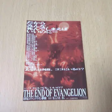 에바 영화 혜택