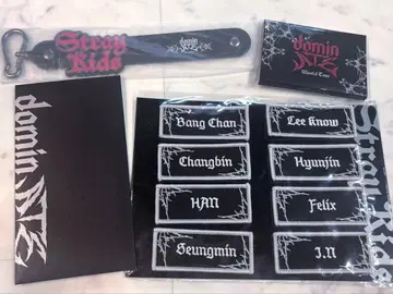 StrayKids 스키즈 dominATE 업그레이드 굿즈 세트