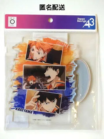 하이큐!! 아크릴 스탠드 히나타 쇼요 카게야마 토비오