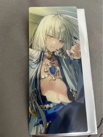 FGO 최종 재림전 편성 화면풍 카드 네모/노아