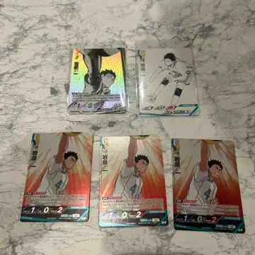 하이큐!! 바보카 이와이즈미 하지메 5장 세트