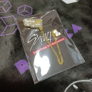 반찬 체인 부착 핀즈