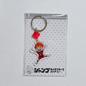 하이큐 JCS 리뉴얼 히나타