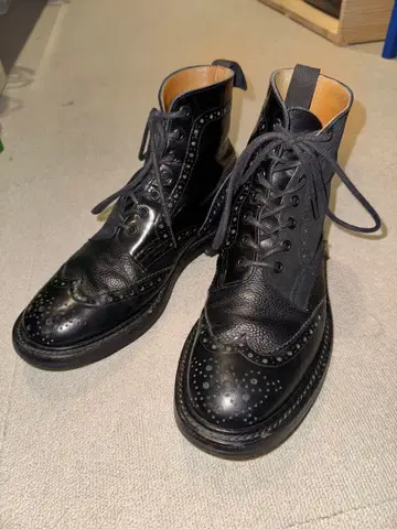 Tricker's Nepenthes 콜라보