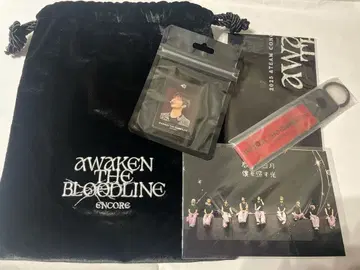 &TEAM AWAKEN THE BLOODLINE 업그레이드 혜택