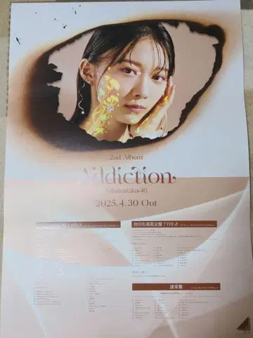 사쿠라자카 포스터 앨범