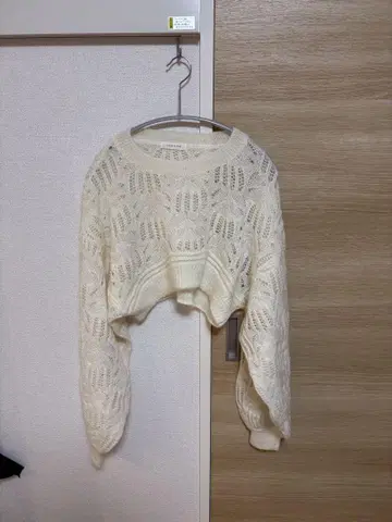 CASA FLINE 시스루 니트 크롭 니트